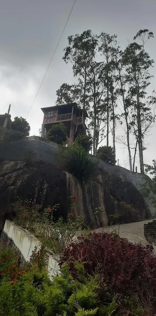 Resort Joys Resort, Chinakanal Munnar India
