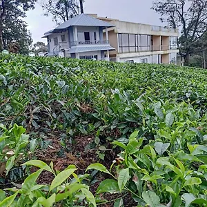 The Nirvana Munnar