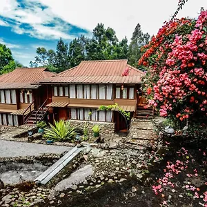 Bethel Varkis Munnar