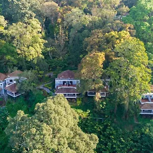 Station touristique The Tall Trees, Munnar